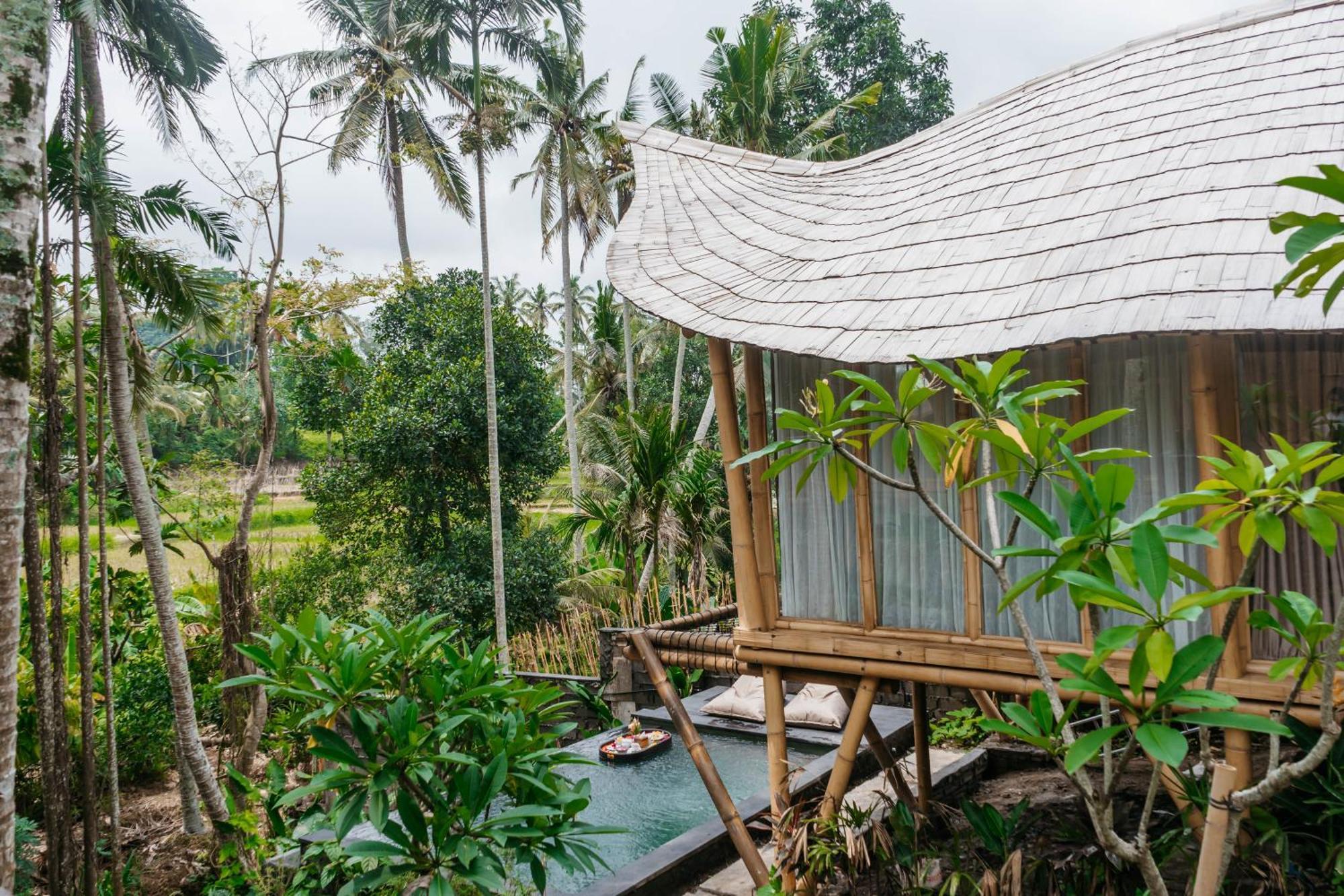 Wadari Retreat Ubud (Bali)